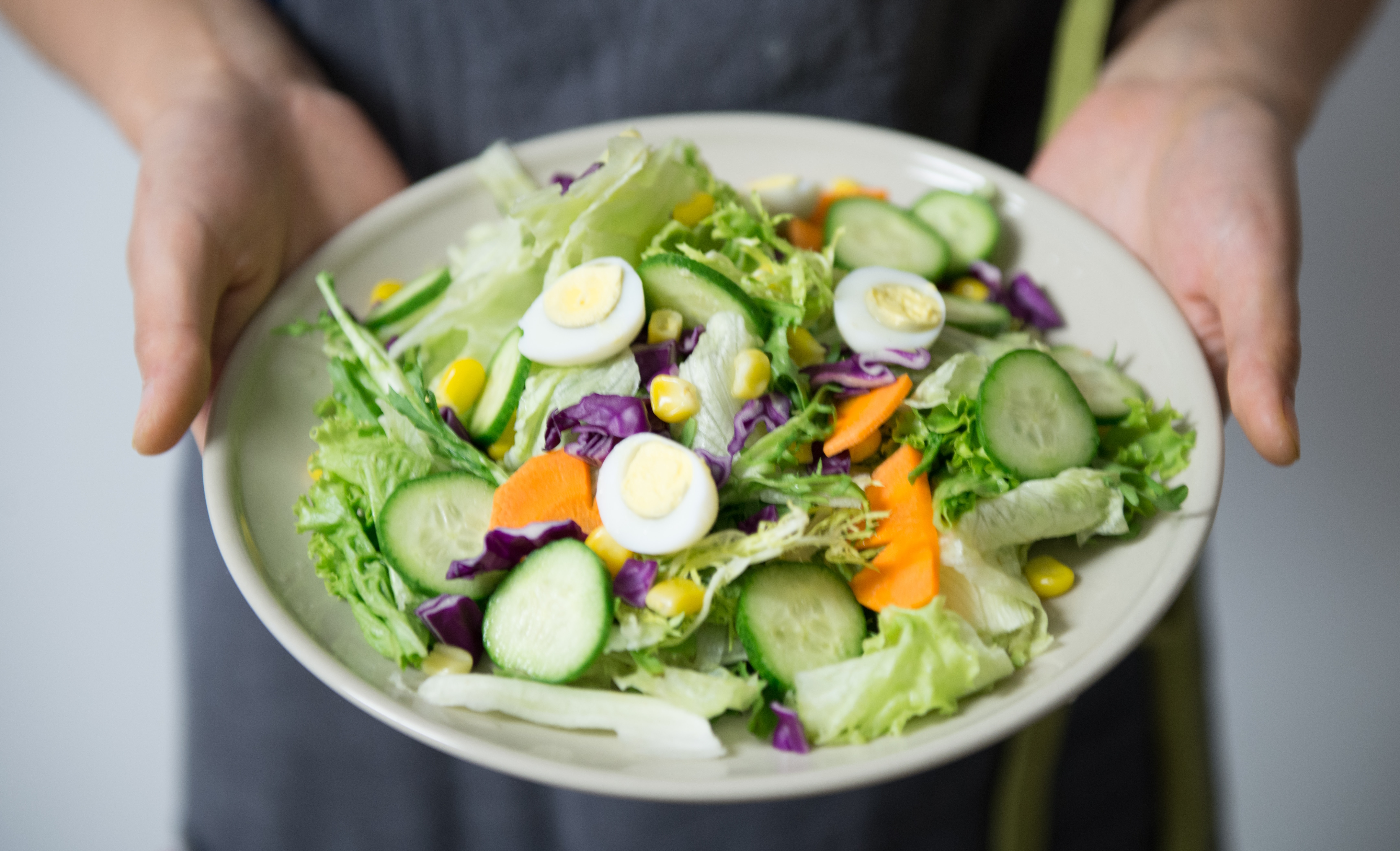 Diet And Nutrition Care Plans
