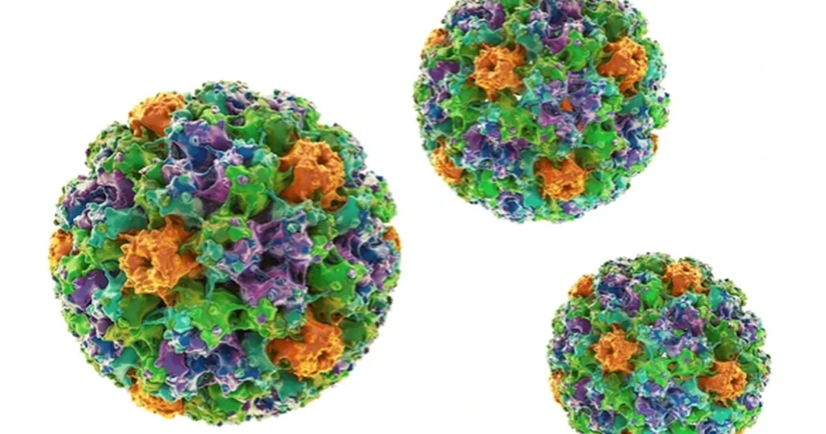 Sti Risk Causes Symptoms